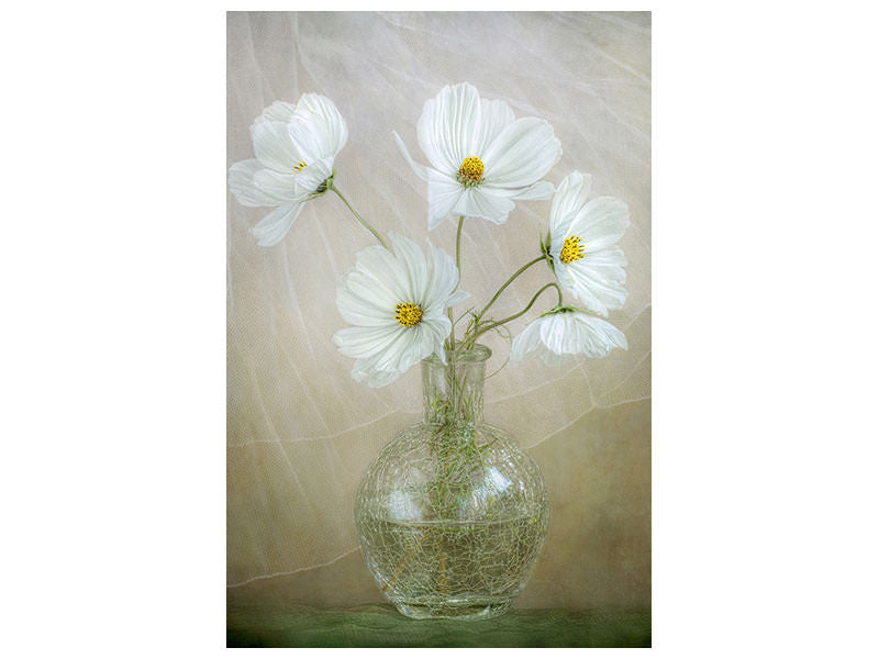 canvas-print-cosmos-breeze