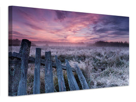 canvas-print-dawn-of-bialowieza-meadows-x