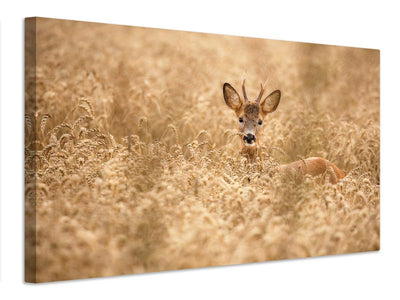 canvas-print-deer-in-the-field-x