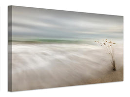 canvas-print-ears-in-the-sea-x