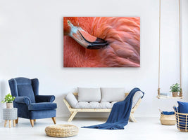 canvas-print-flamingo-close-up-x