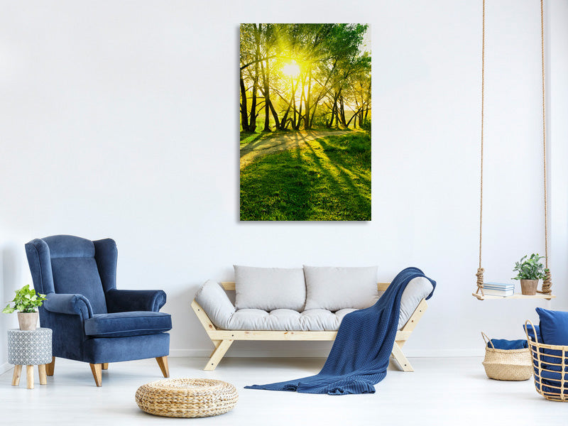 canvas-print-forest-path-in-sunlight