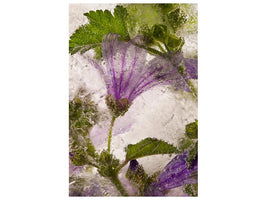 canvas-print-frozen-mallow-flower-x