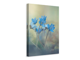 canvas-print-memories-of-a-spring-x