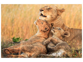 canvas-print-mothers-love-x