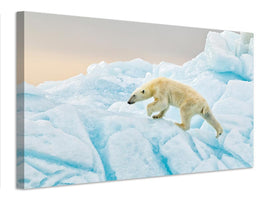 canvas-print-polar-bear-at-svalbard-x