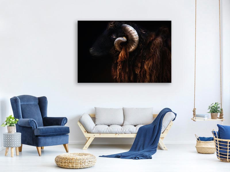 canvas-print-ram-portrait-x