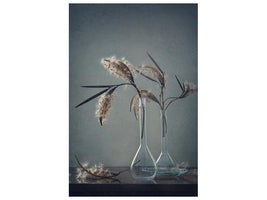 canvas-print-reed-x