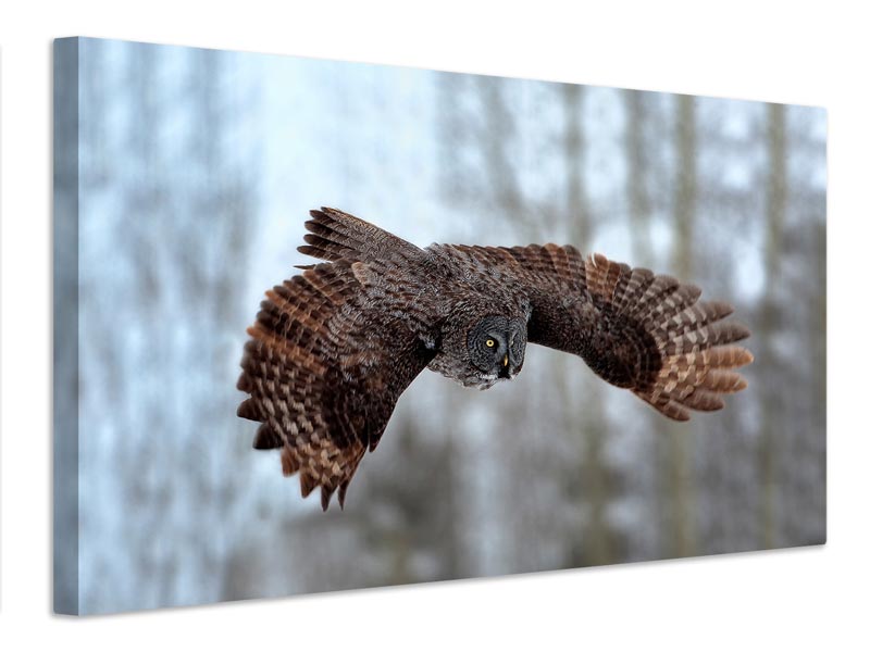 canvas-print-soaring-x