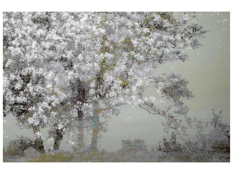 canvas-print-spring-xep