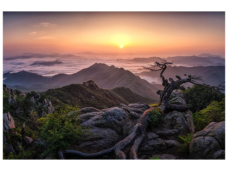 canvas-print-sunrise-on-top-x