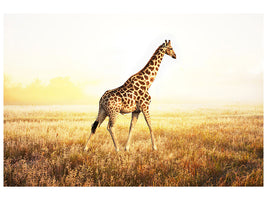 canvas-print-the-giraffe
