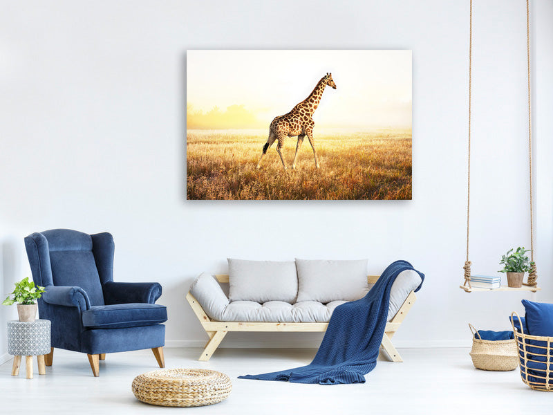 canvas-print-the-giraffe