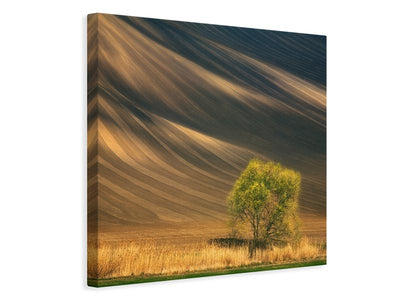 canvas-print-tree-x