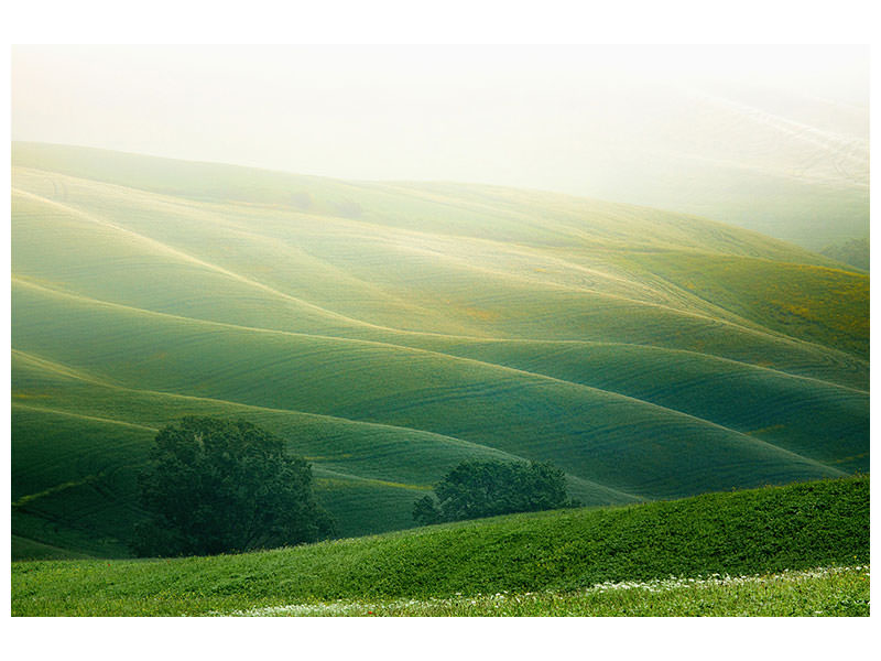 canvas-print-tuscany