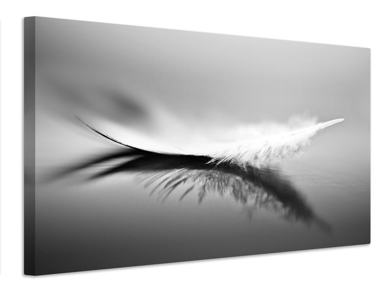 canvas-print-white-xza