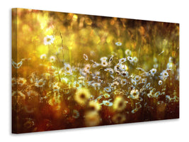 canvas-print-wonderland