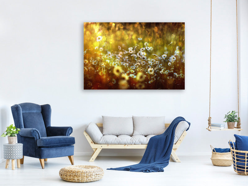 canvas-print-wonderland