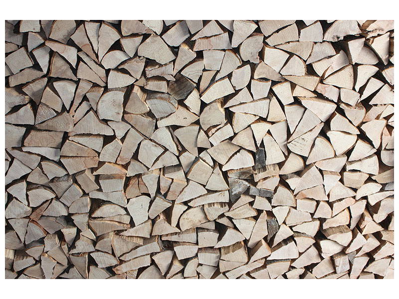 canvas-print-woodpile