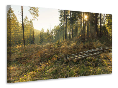 canvas-print-working-in-the-woods