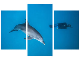 modern-3-piece-canvas-print-dolphin-and-freediver