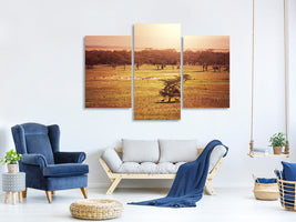 modern-3-piece-canvas-print-picturesque-africa