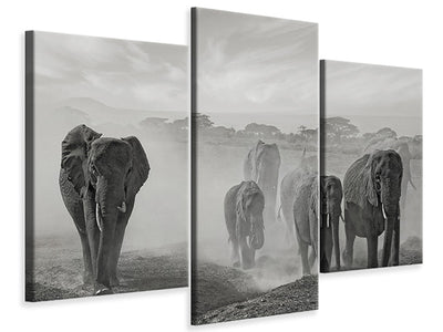 modern-3-piece-canvas-print-sequence-of-emotion