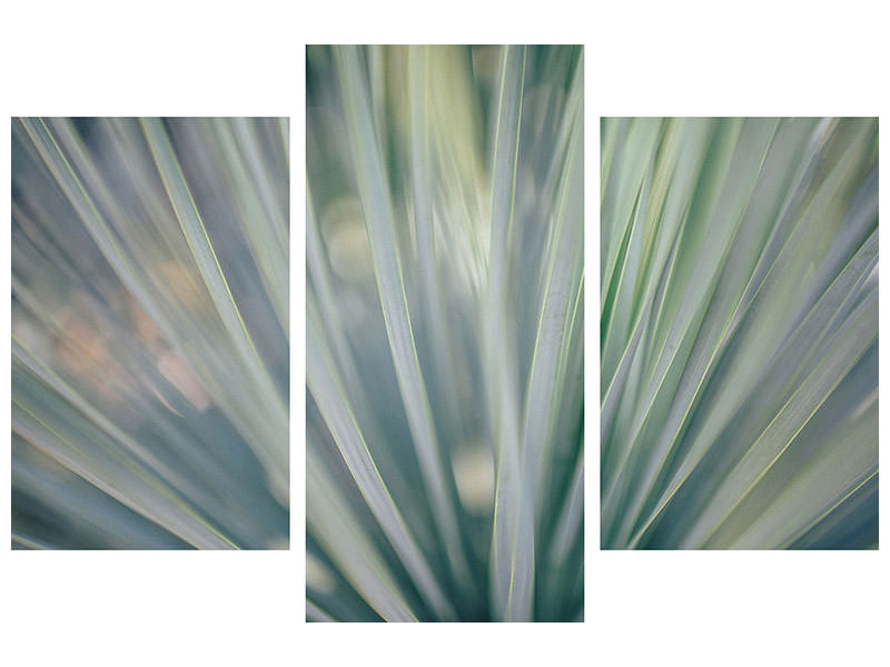 modern-3-piece-canvas-print-strip-of-plant