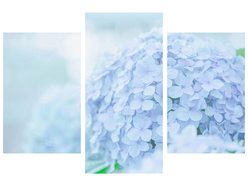 modern-3-piece-canvas-print-the-hydrangea