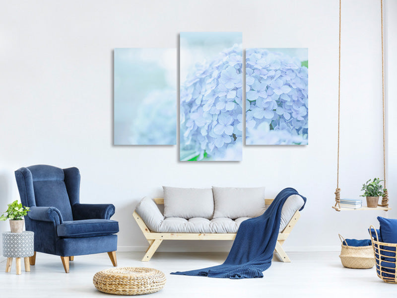 modern-3-piece-canvas-print-the-hydrangea