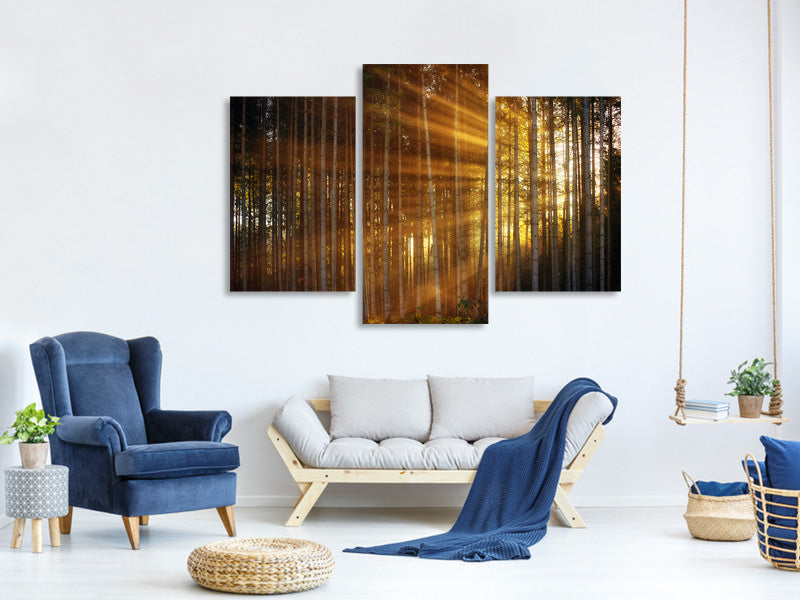 modern-3-piece-canvas-print-trees-in-sunbeams