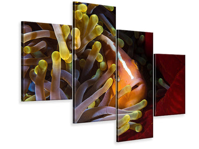 modern-4-piece-canvas-print-skunk-clownfish