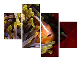 modern-4-piece-canvas-print-skunk-clownfish