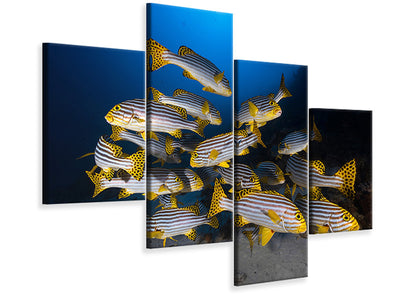 modern-4-piece-canvas-print-underwater-photography-indian-ocean-sweetlips
