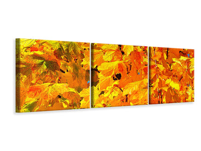 panoramic-3-piece-canvas-print-autumn-leaves-ii