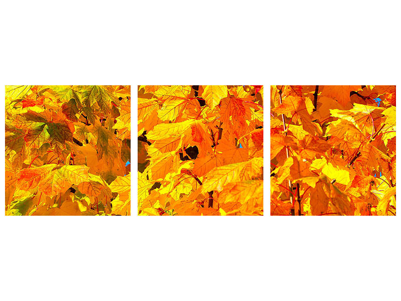 panoramic-3-piece-canvas-print-autumn-leaves-ii