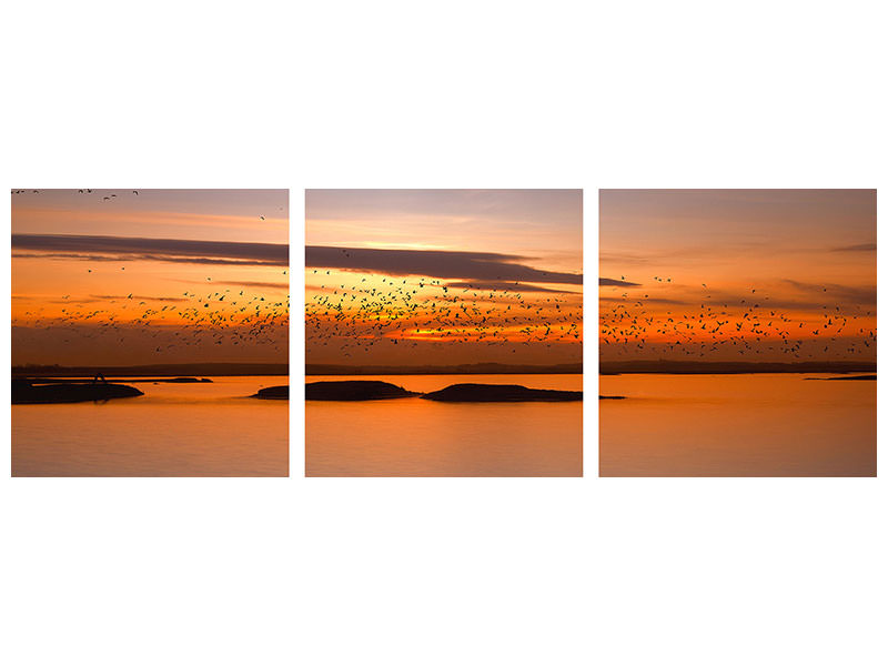 panoramic-3-piece-canvas-print-by-sunset