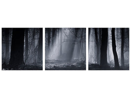 panoramic-3-piece-canvas-print-capela-forest