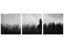 panoramic-3-piece-canvas-print-chasing-the-jades