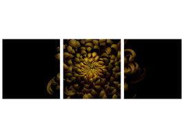 panoramic-3-piece-canvas-print-chrysanthemum