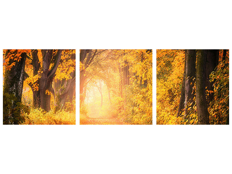 panoramic-3-piece-canvas-print-colors-magnificent-forest