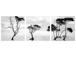 panoramic-3-piece-canvas-print-drowning-not-waving