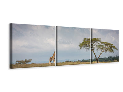 panoramic-3-piece-canvas-print-east-africa