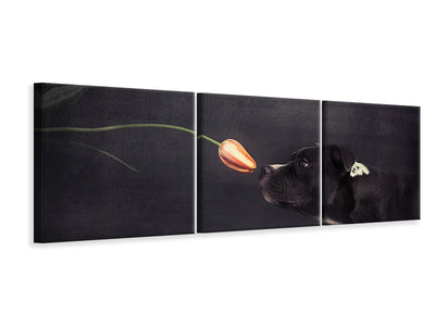 panoramic-3-piece-canvas-print-first-approach-hildegard-and-the-tulip