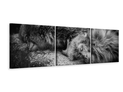 panoramic-3-piece-canvas-print-sleeping