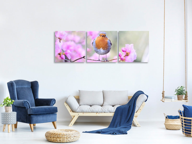 panoramic-3-piece-canvas-print-spring-bird