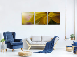 panoramic-3-piece-canvas-print-sunbeam
