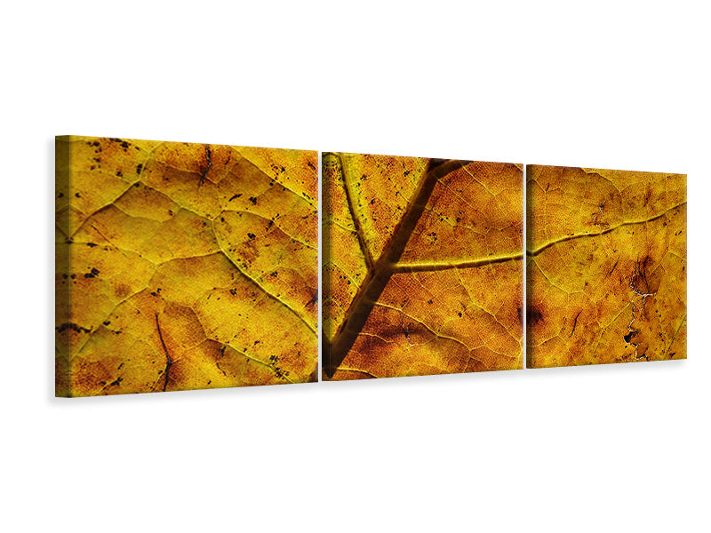 panoramic-3-piece-canvas-print-the-autumn-leaf