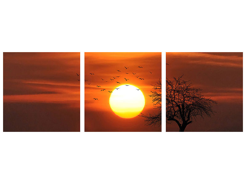 panoramic-3-piece-canvas-print-the-sunset-on-the-horizon