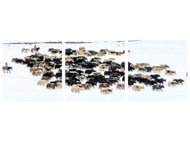panoramic-3-piece-canvas-print-yaks-in-snow